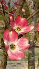 365F7C23-EF7D-480B-836F-9BF5BD19BAF5