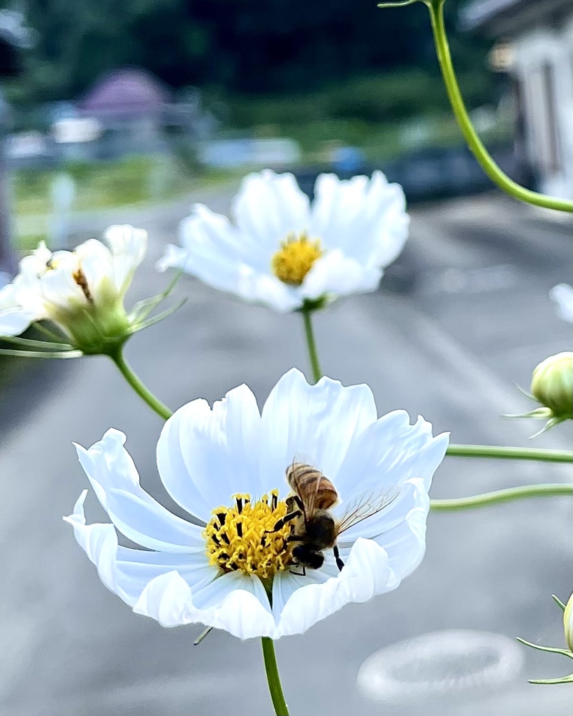 980D7930-DBD0-4393-9840-2193E81F8F72