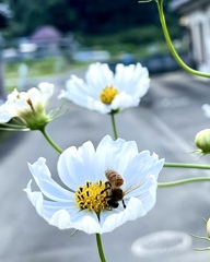 980D7930-DBD0-4393-9840-2193E81F8F72