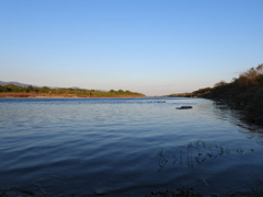 90450EC9-0534-4707-ABE5-8C3B2BE9F956