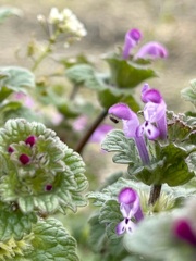 1703BFC7-D740-4892-9763-44D12E17D949