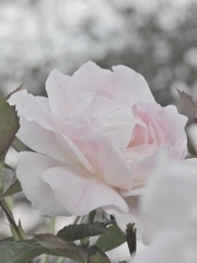 36ABEF3E-9C3E-4D99-8D39-4ABA518DDBEC