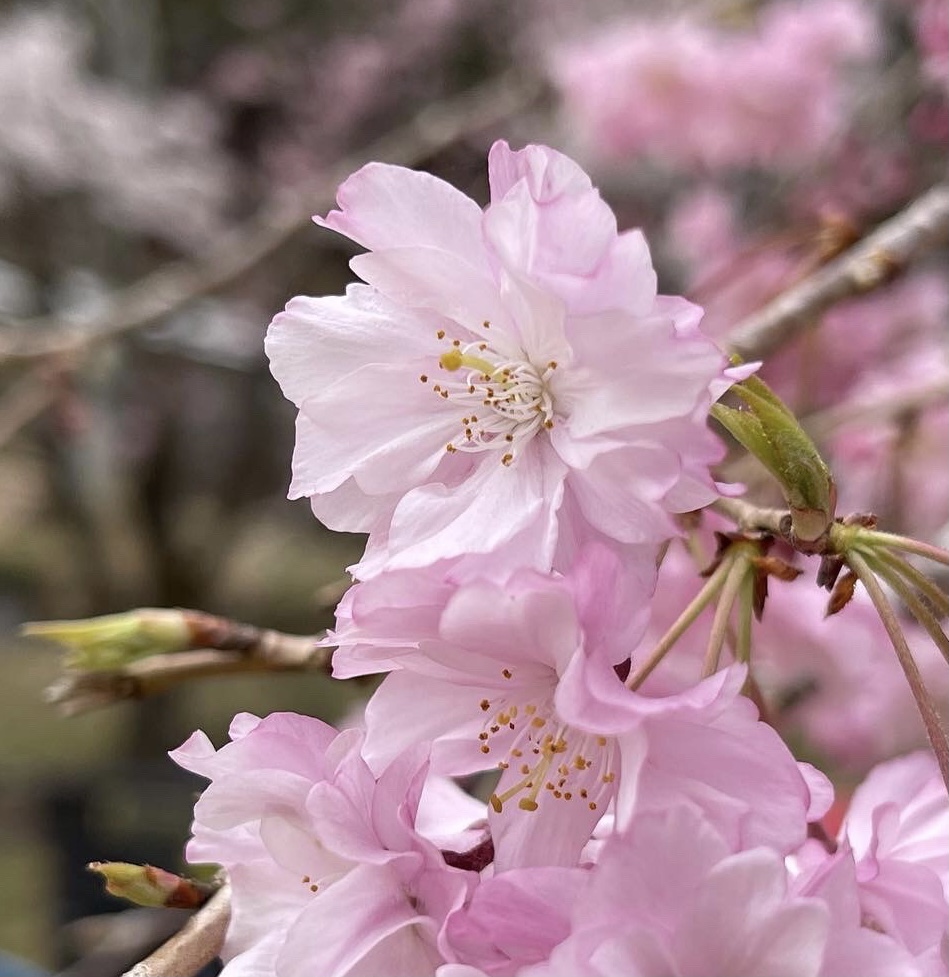 1CC02009-C1A7-4578-97C2-A042890BE44B