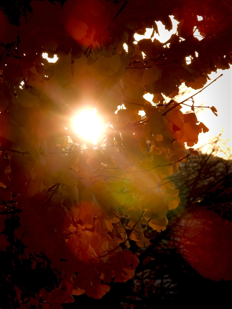 BA7954FE-EC7D-48D2-A57C-A5E1A5850127