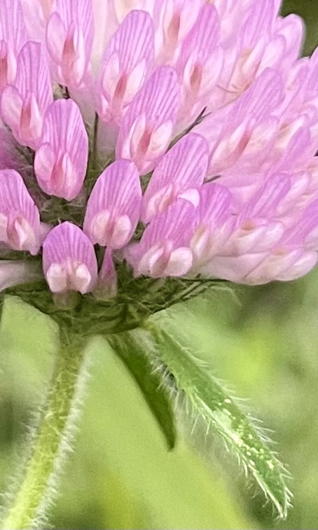 DF3B30BF-92A9-4AA1-9BD5-DC5355D44534