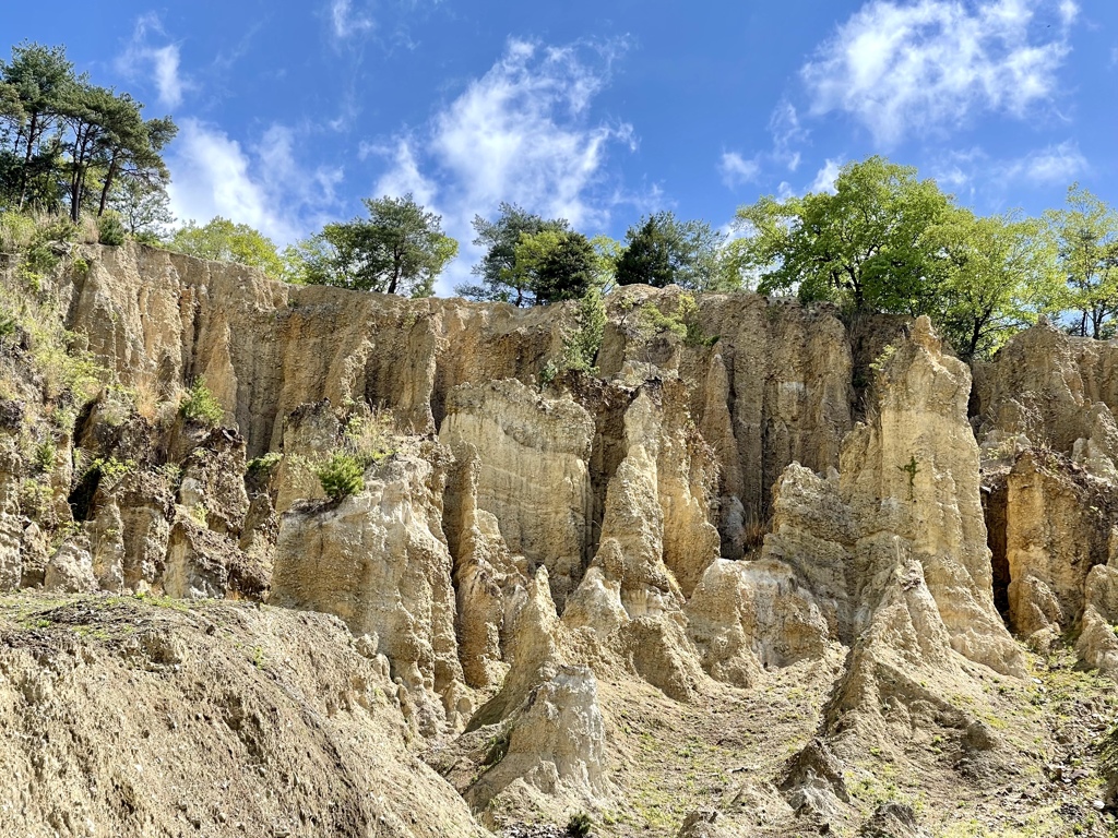 2CF58B8E-A2ED-4E73-85B3-F41CE8E9EC9C