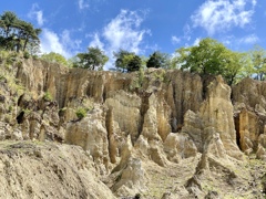 2CF58B8E-A2ED-4E73-85B3-F41CE8E9EC9C