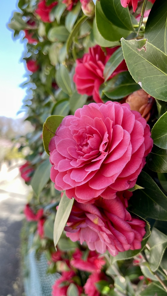 8722EA24-A3E2-4B00-AF64-6DFFDD4761F2