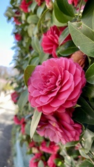 8722EA24-A3E2-4B00-AF64-6DFFDD4761F2