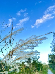 52652F0A-AB58-4F24-8039-86FF3F74D73C