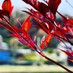 0415EE55-21B0-455D-BFE3-BC7E2EBC6BB6