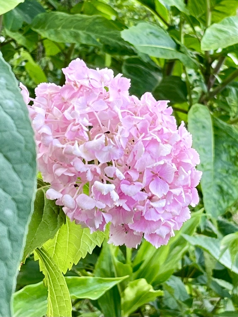 4F67D516-A773-4498-B256-75721E1BF032