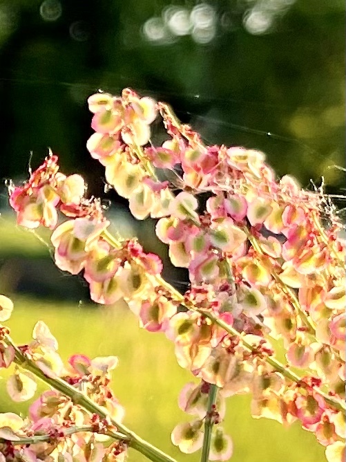 59C76CEE-BDA7-4AE1-AF76-E55098432343