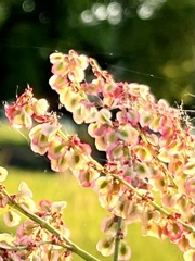 59C76CEE-BDA7-4AE1-AF76-E55098432343