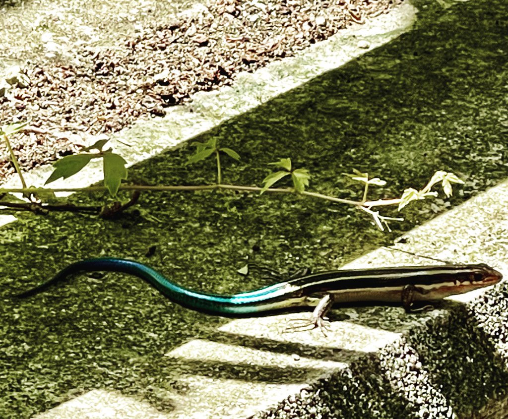 27BA4AC4-F7DC-436B-A7B0-1ACE20CF18D9