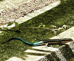 27BA4AC4-F7DC-436B-A7B0-1ACE20CF18D9