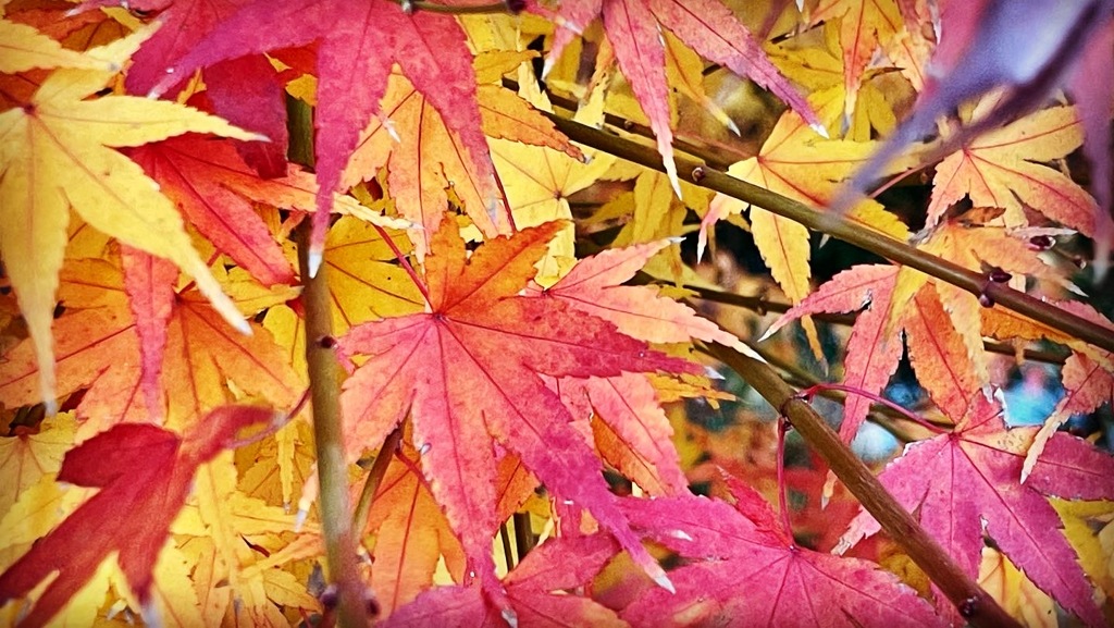 F2CBD84E-5834-4ADD-81AD-C6ACAA0EBCB5