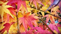 F2CBD84E-5834-4ADD-81AD-C6ACAA0EBCB5