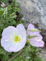 E2CE4A7F-C64B-4E95-BB19-D9A990F639FE