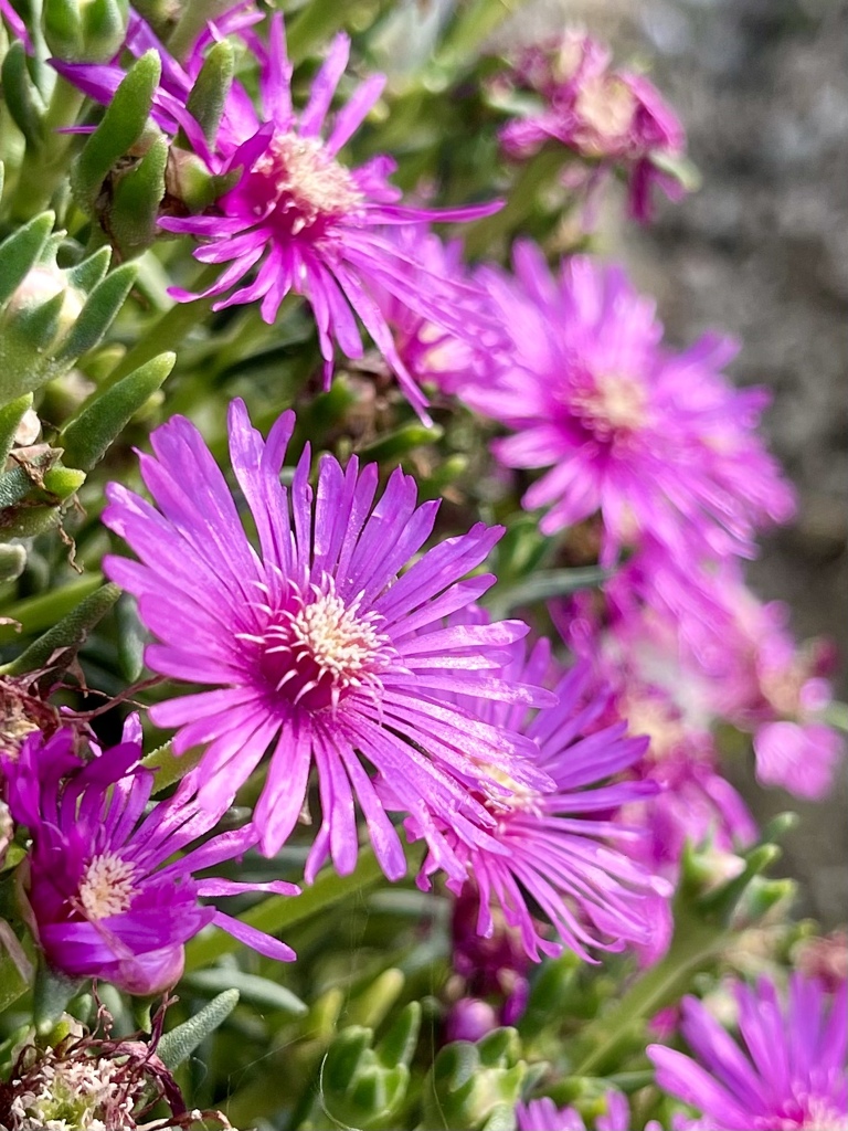 BFE7EA9B-6F63-47E0-8523-4D727FA15D29