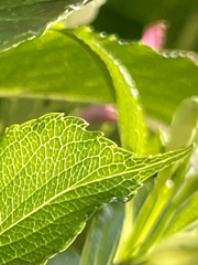 7863F9D7-6C08-4FFA-929D-4DC97477FA63