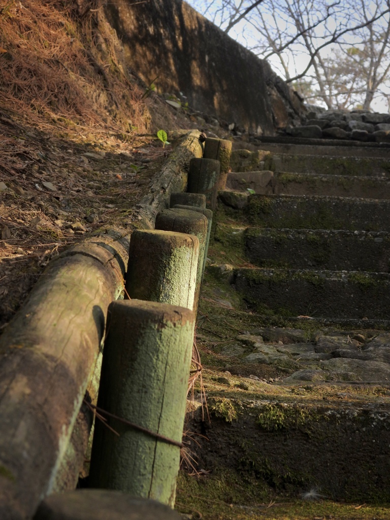 49C0BE0F-393D-45BA-A31B-EC6D3F88AAE6