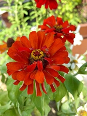 D9D37CCD-7978-4CE3-88DE-B46DC6A9BC04