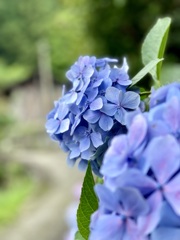 855EF783-014E-4EF5-B094-C3869D1D6F46