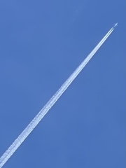 888B287F-4A0D-449D-ACB1-AB3331EA05A6