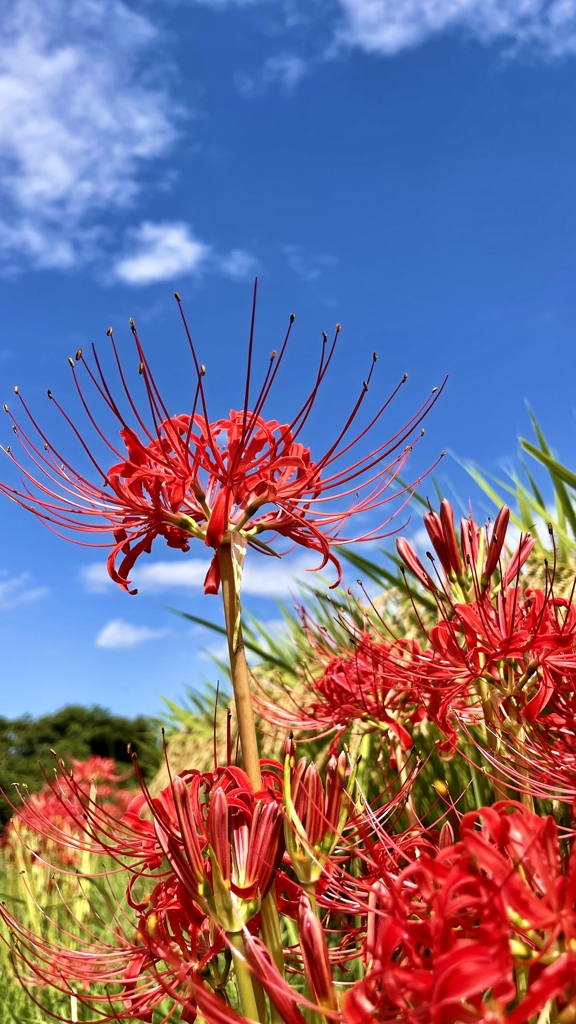 12EBCC4C-6DDD-4073-91AF-147362C93432