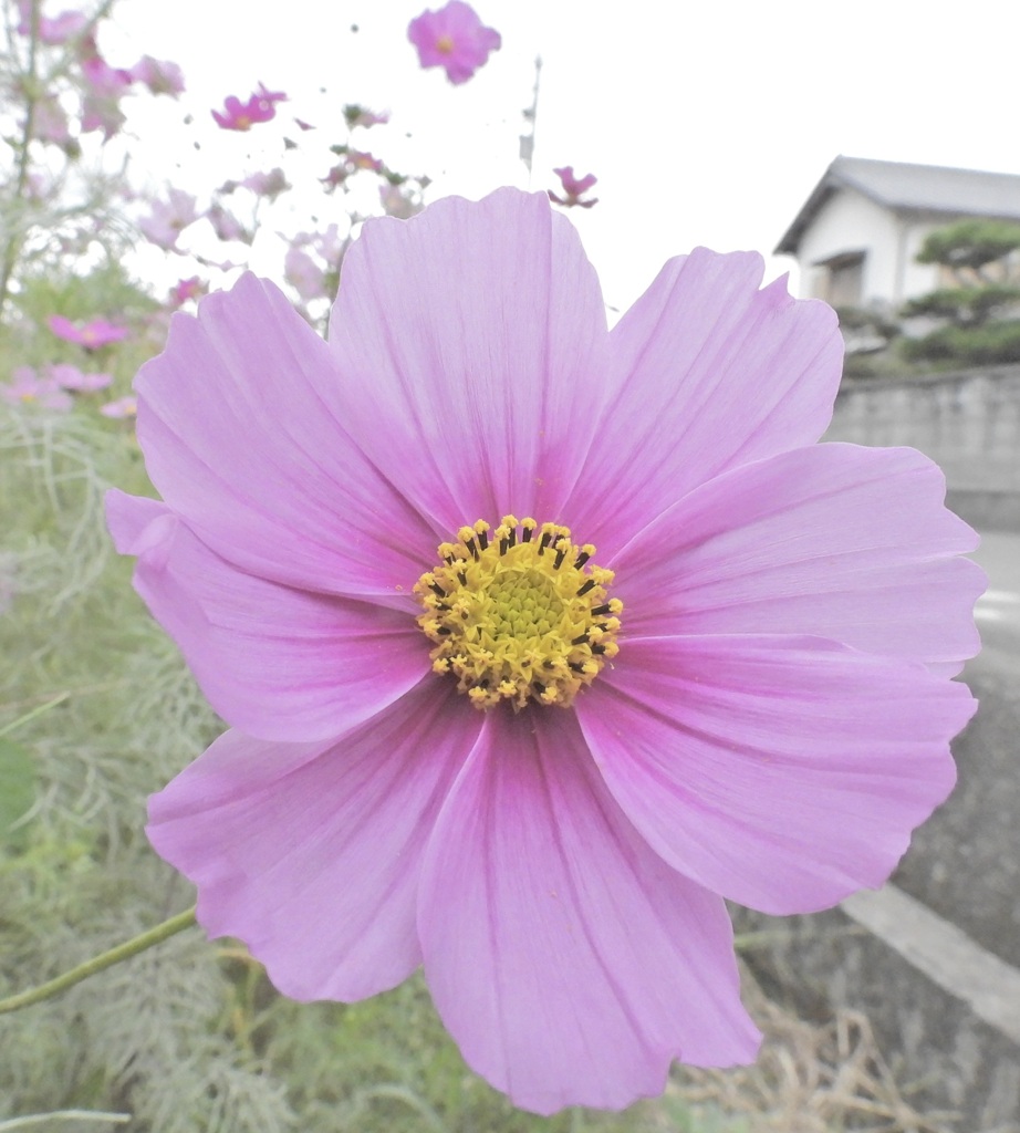 B491249E-7D46-4B3B-BCEB-51CE10B65551