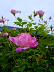6FD96716-B4E1-4DE2-9D0E-A920370BF783