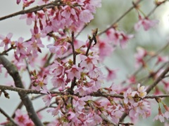 D6F00AAA-A9C5-45C5-B7BE-4095B6EA3602