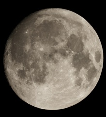 A7198811-49C2-4BCA-A234-019342E25366