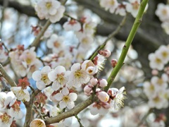 6F0D13BD-25B5-4AC1-A55A-688EFC79959F
