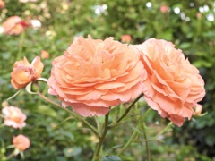 5F8676AB-F6BB-4B8F-8C18-912F4A924CF7