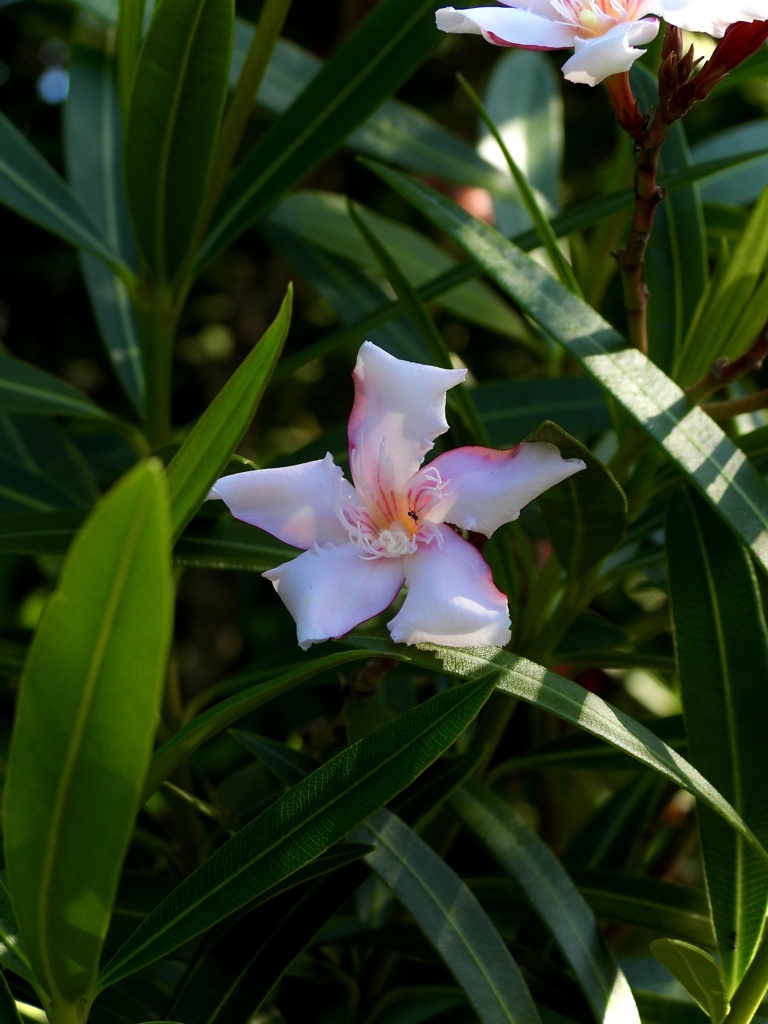 85E50AE5-C245-473F-BEDD-4110146046CD