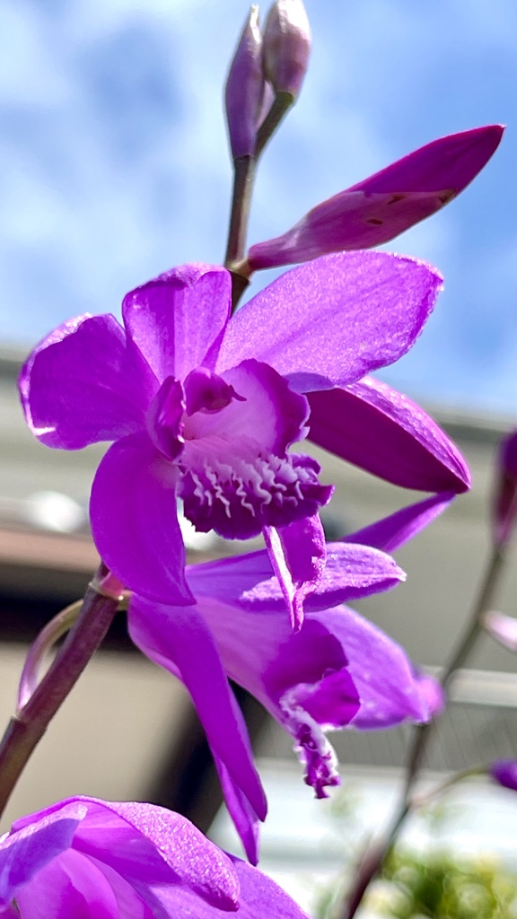 7C5ED003-A2B9-47FF-AE80-51C038E8C9EB