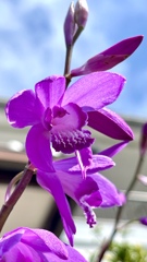 7C5ED003-A2B9-47FF-AE80-51C038E8C9EB