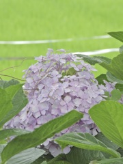 A6391F6C-B0EE-4D0D-B445-A50DF8E3BCB7
