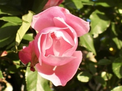 F81089FF-3D86-4C15-9B18-22004C6D1757