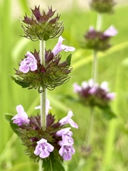 BD6B98F2-CE51-43F2-9889-D7F78681CC4E