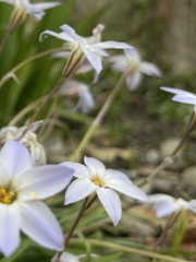 7DF35067-390F-402E-94BC-A766EBA403E2