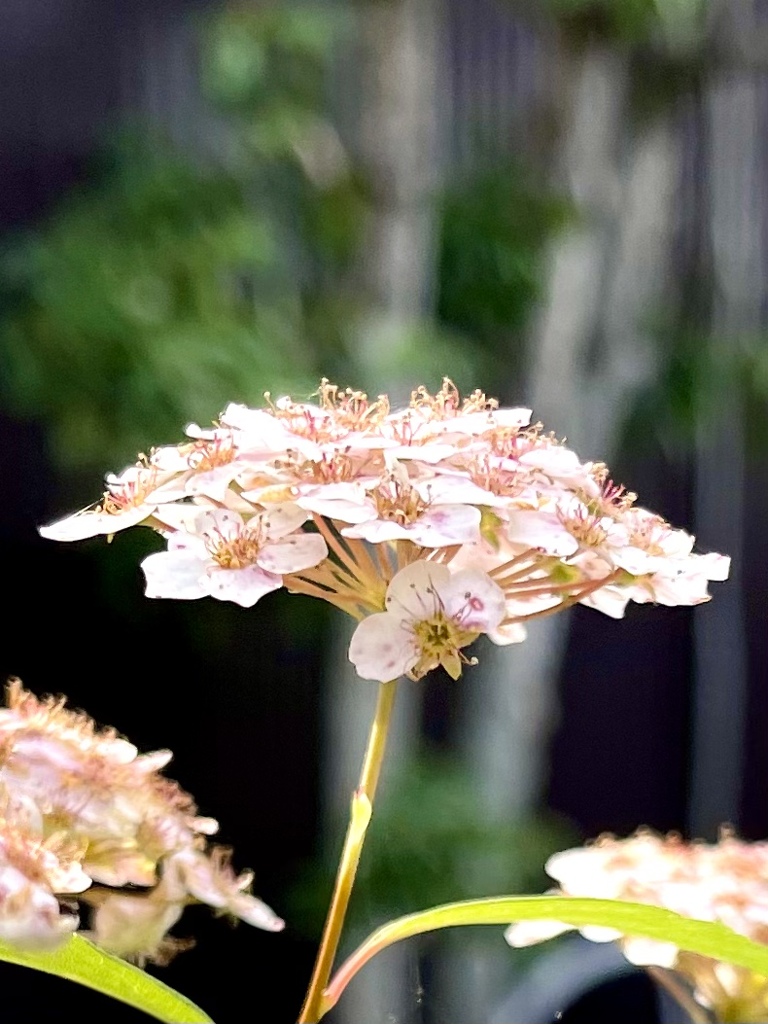 71C26272-89FD-4D9F-8B69-B013300F30D0