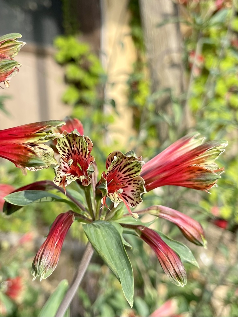 BD2755AB-B7D0-4E94-AA7E-31609B3ED08A