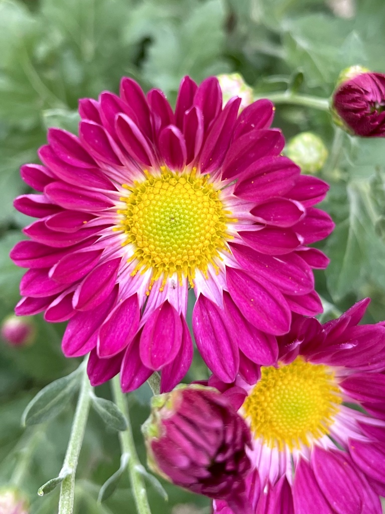 57FF8746-F873-49E8-8EAB-F9FD6BBF3749