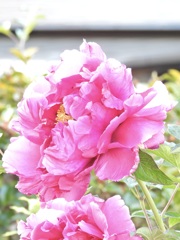 5CB72C52-E1F3-4224-A2CC-A146148A0288