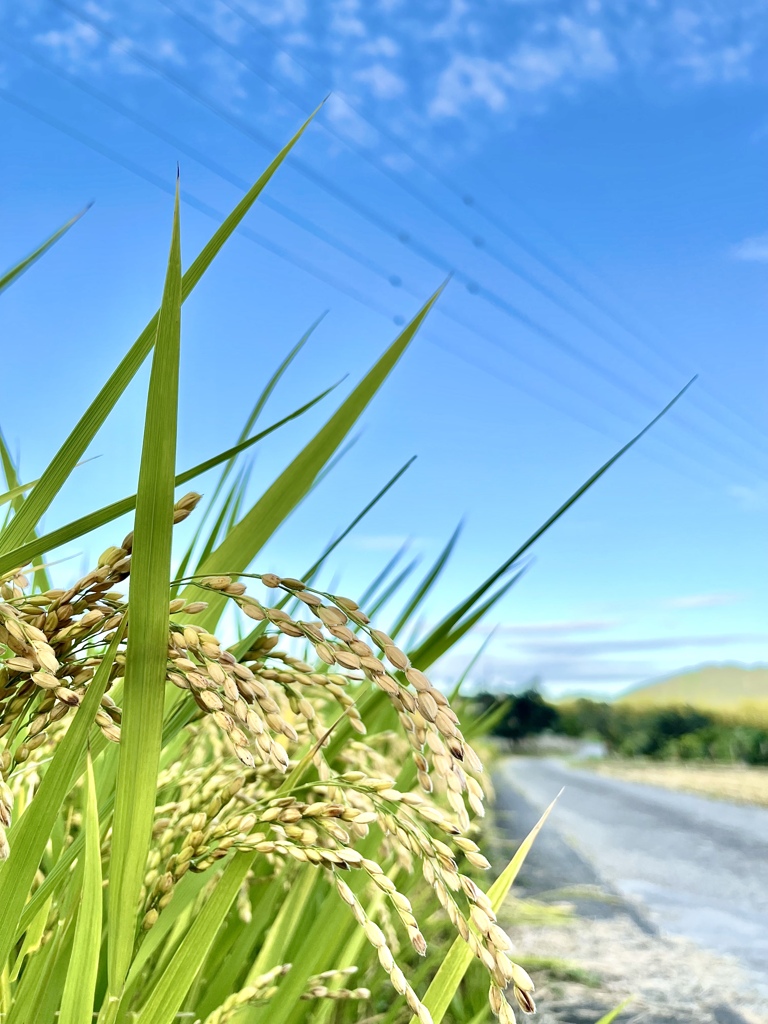 0EE86A58-B0EA-4BED-9ED4-2AF4844A5823