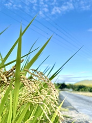 0EE86A58-B0EA-4BED-9ED4-2AF4844A5823