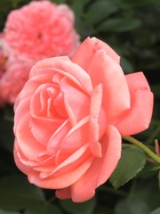B7E78BB0-4CB9-4484-A7C8-4C3DE14B8E99